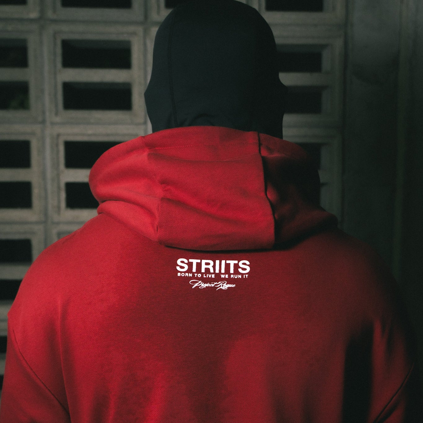 Rogue Hoodie